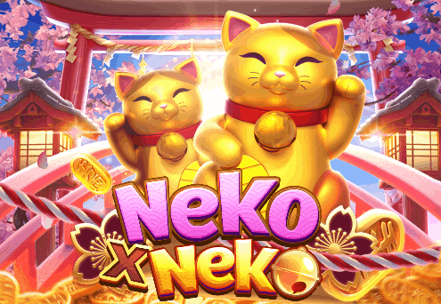 NEKO X NEKO