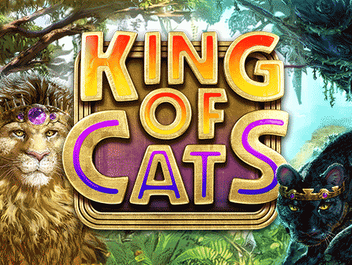 King of Cats