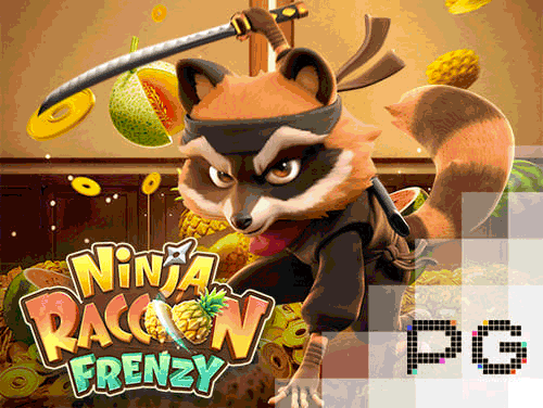 Ninja Raccoon Frenzy